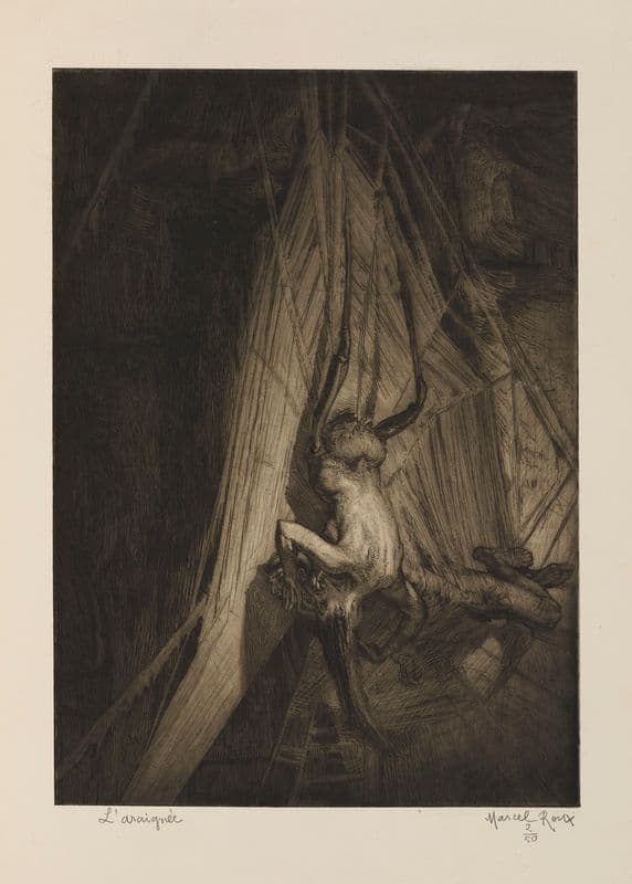 L’Araignée as a canvas print