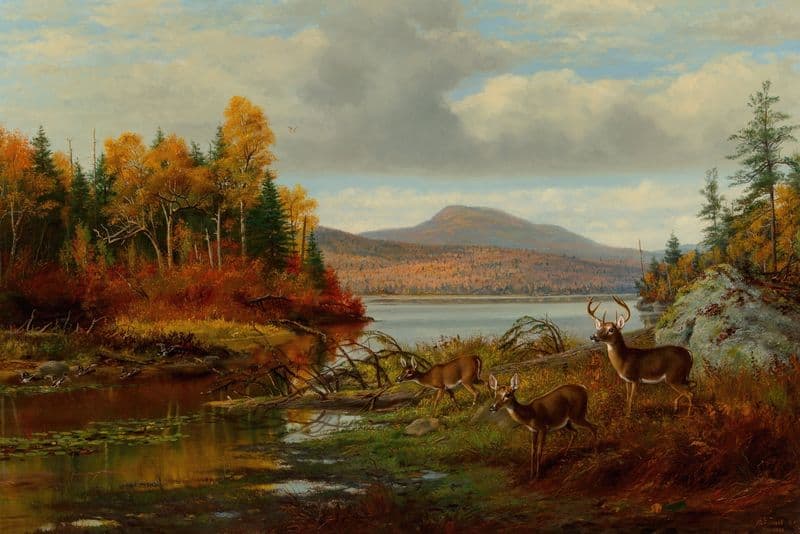 Late Autumn, Long Lake, Hamilton Co., New York, Adirondacks as a canvas print
