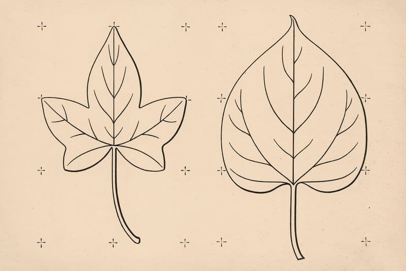 Leaves as a canvas print