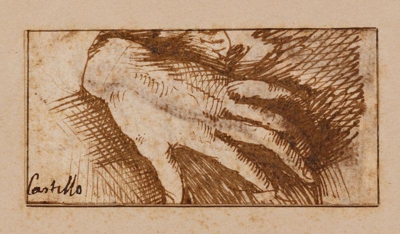 Left Hand (17th century) as a canvas print