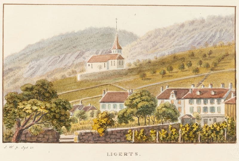 Ligerts as a canvas print