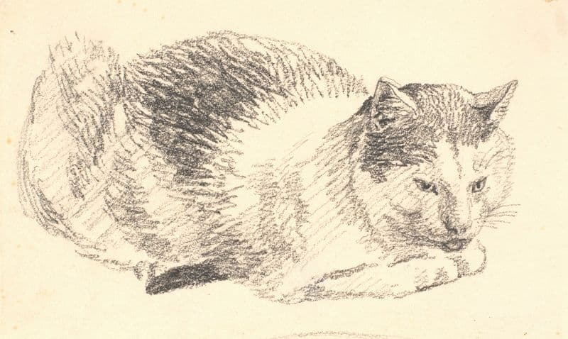 Liggende kat (1845 – 1846) as a canvas print
