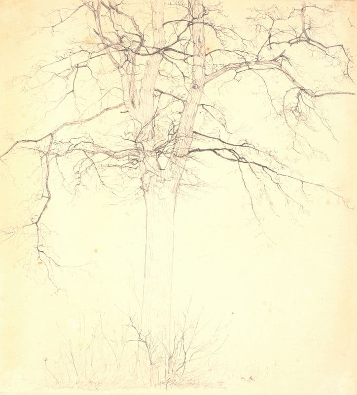 Lind ved Kærlighedsstien (1836 – 1839) as a canvas print
