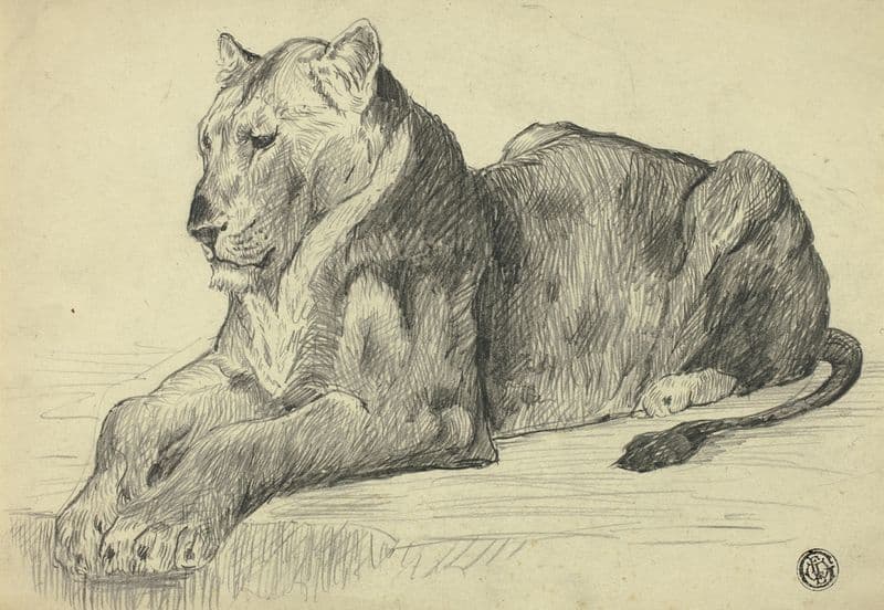 Lioness as a canvas print