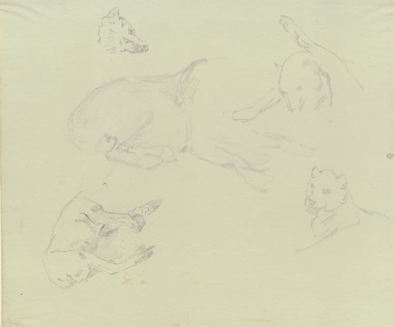 Lions and wolves (ca. 1831 – 1840) as a canvas print