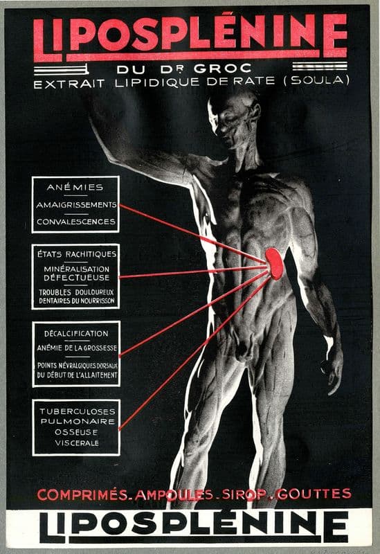 Liposplénine (1910-1950) as a canvas print