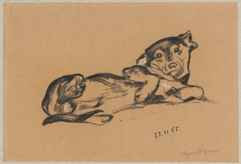 Lying dachshund as a canvas print