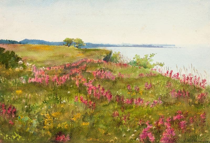 Maastik (õitsev aas) as a canvas print