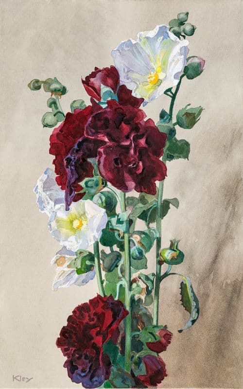 Malven (1920s) as a canvas print