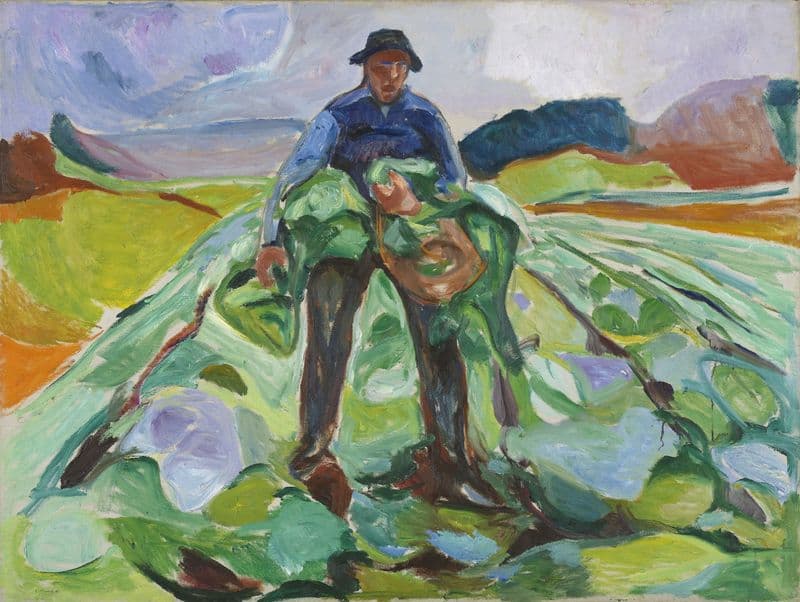 Man in the Cabbage Field as a canvas print