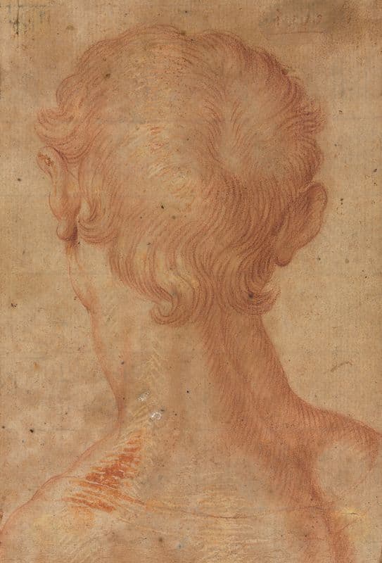 Man’s Head from the Back (16th century?) as a canvas print