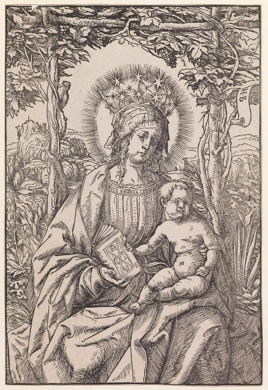 Maria mit Kind in der Weinlaube (1507-09) as a canvas print