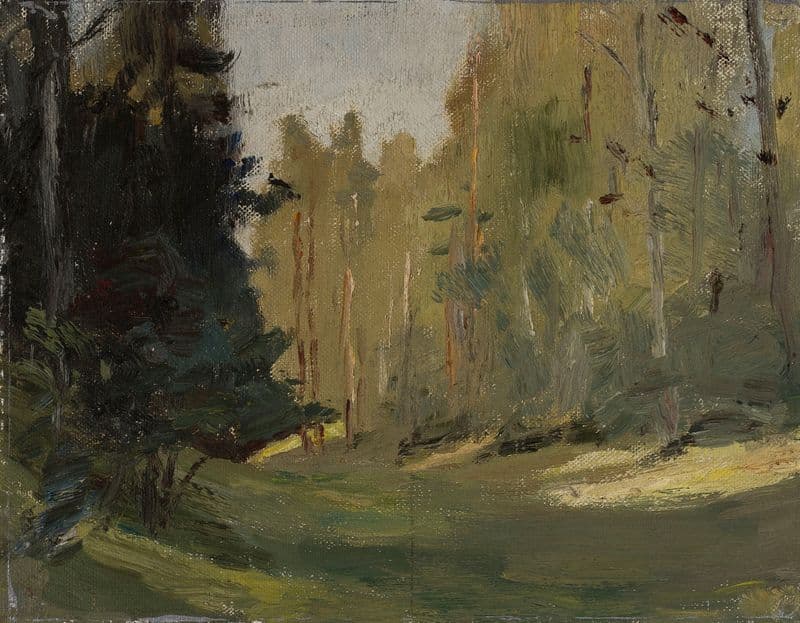 Mariino – clearing in a forest as a canvas print