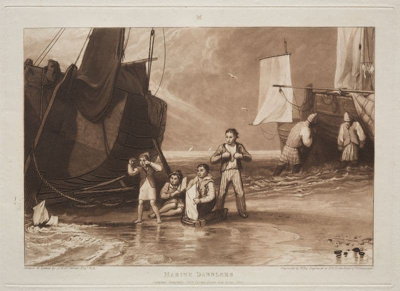 Marine Dabblers (19th century) as a canvas print