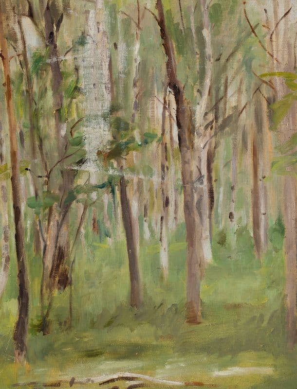 Maryino – grove as a canvas print