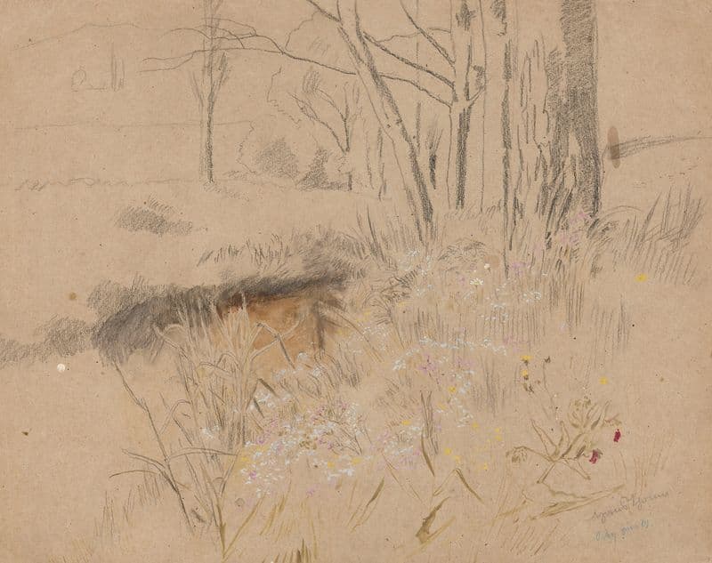 Meadow as a canvas print