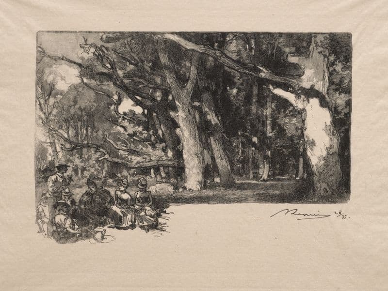 Midi sous bois as a canvas print
