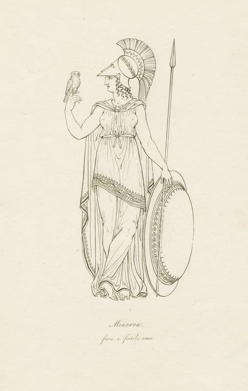 Minerva, from a fictile vase as a canvas print