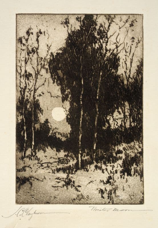 Mister Moon as a canvas print