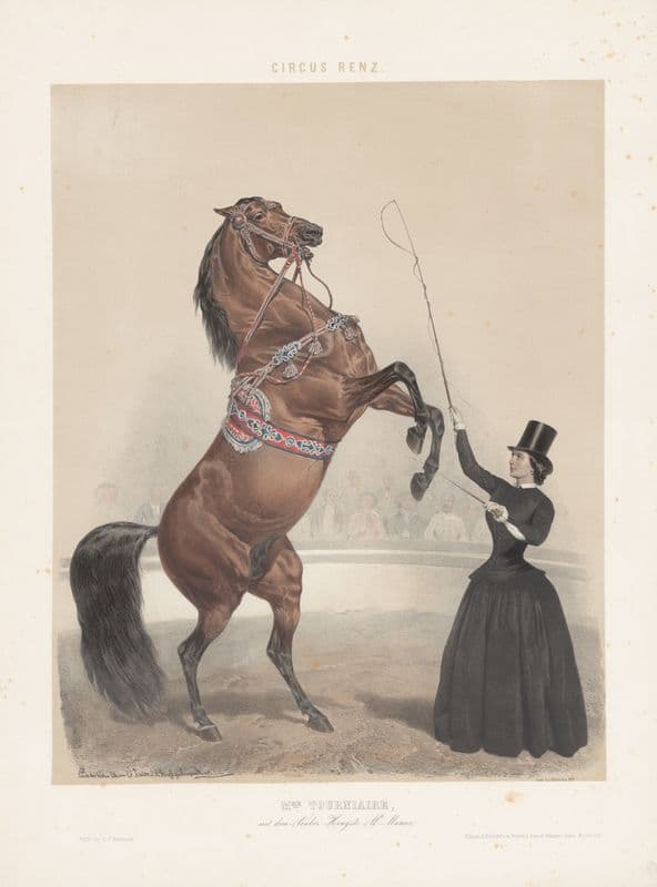 Mme Tourniaire, mit dem Araber-Hengst Al-Mansor (19th century) as a canvas print
