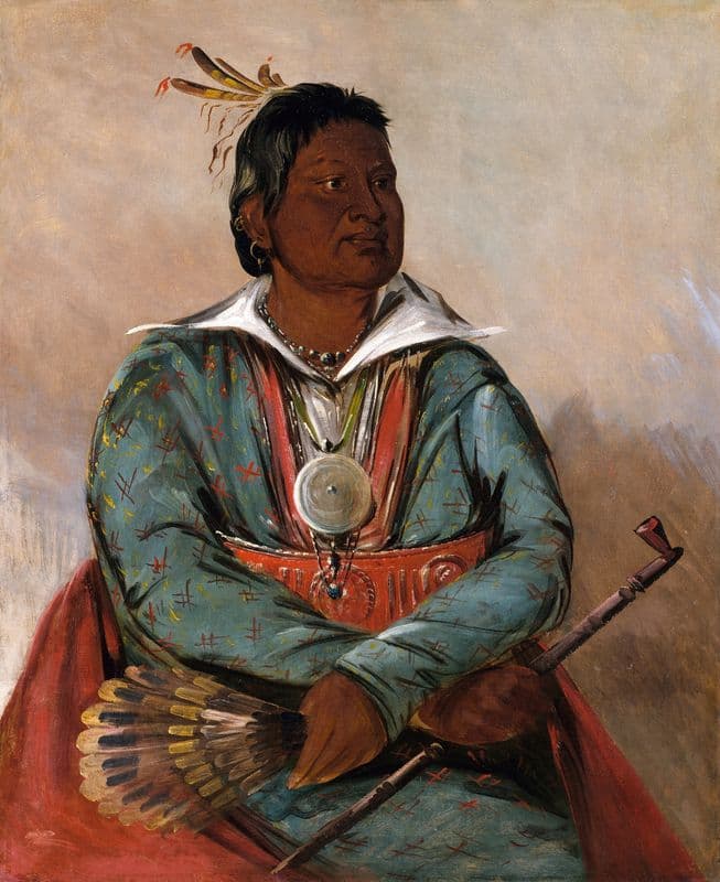 Mó-Sho-La-Túb-Bee, He Who Puts Out And Kills, Chief of The Tribe as a canvas print