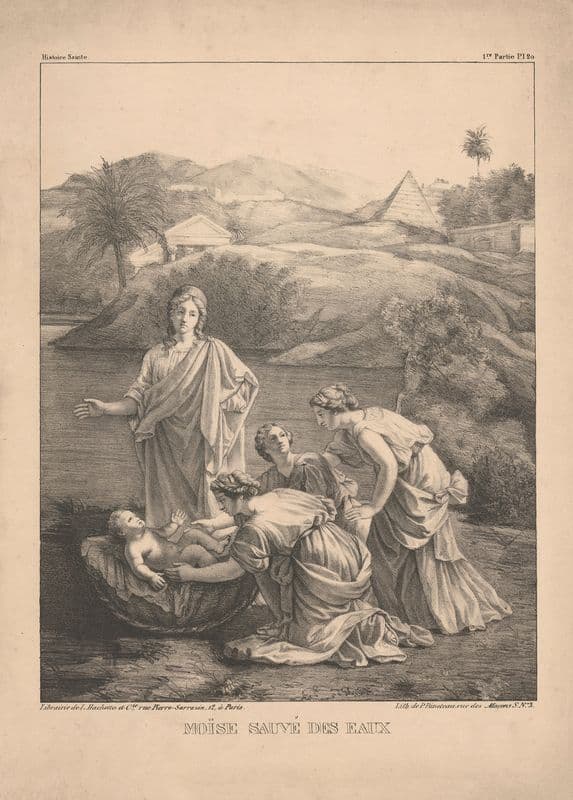 Moise sauve des eaux as a canvas print