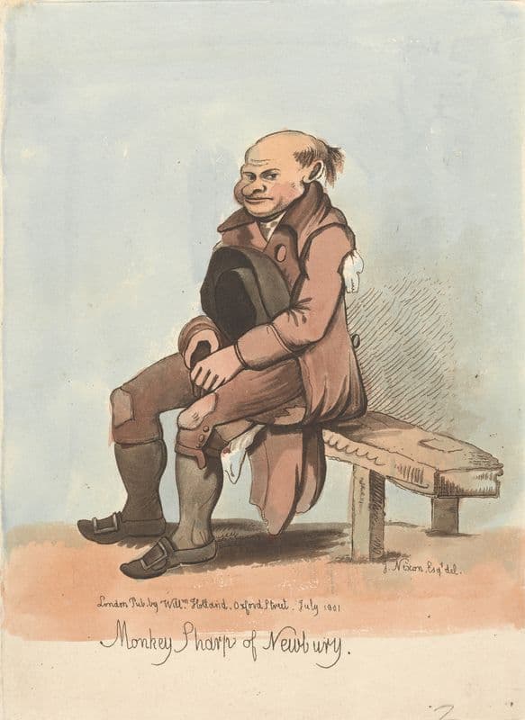 Monkey Sharp of Newbury as a canvas print