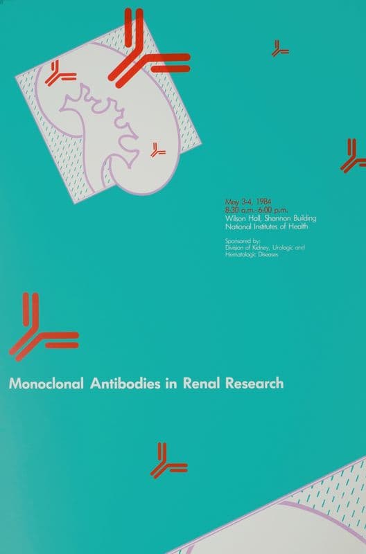 Monoclonal antibodies in renal research as a canvas print
