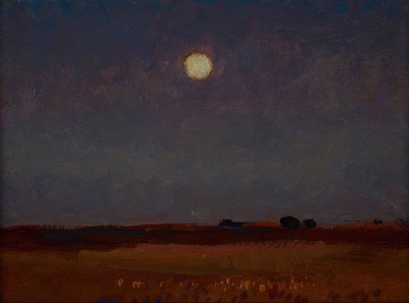 Moonlit Night as a canvas print