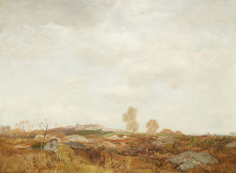 Moorlandschaft as a canvas print