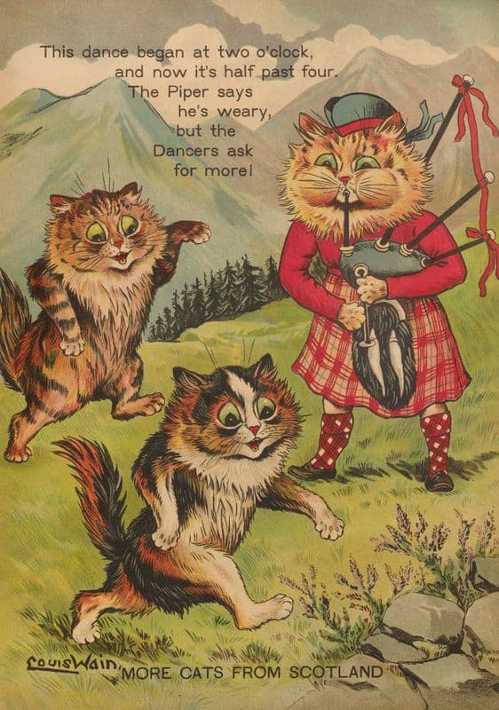 More cats from Scotland as a canvas print