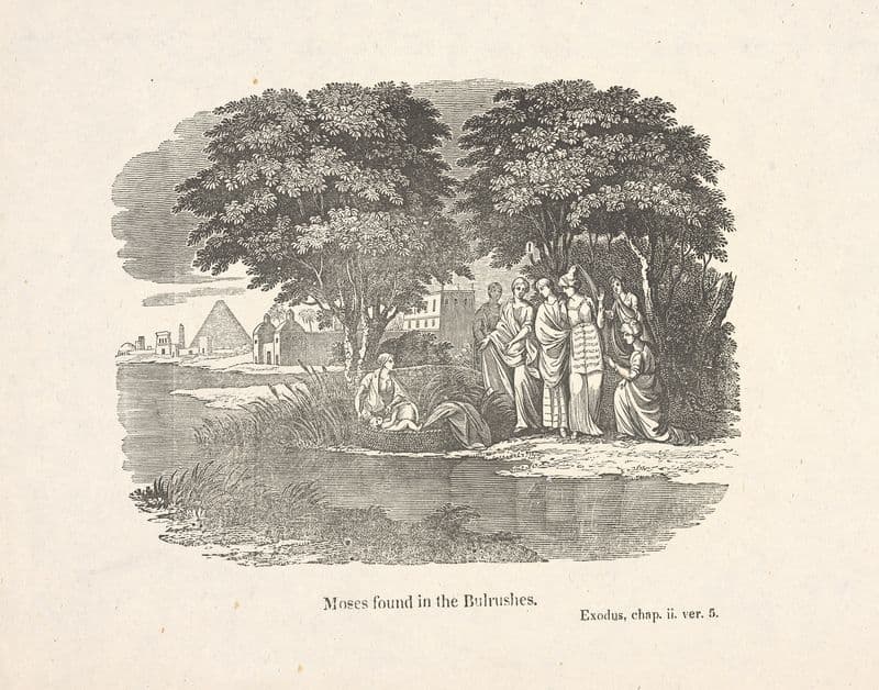 Moses found in the bulrushes. as a canvas print