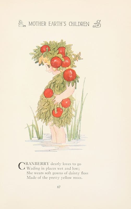 Mother Earth’s children; the frolics of the fruits and vegetables Pl.79 as a canvas print
