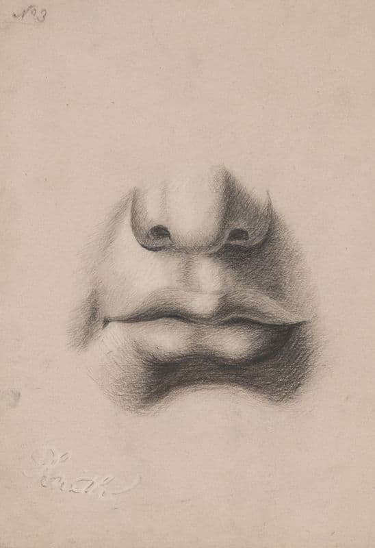 Mouth and nose study, no. 3 as a canvas print