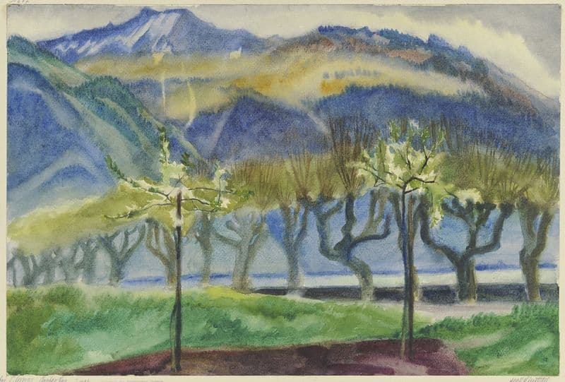 Near Clarens on Lake Geneva as a canvas print