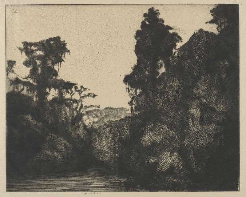 Near Silver Springs as a canvas print