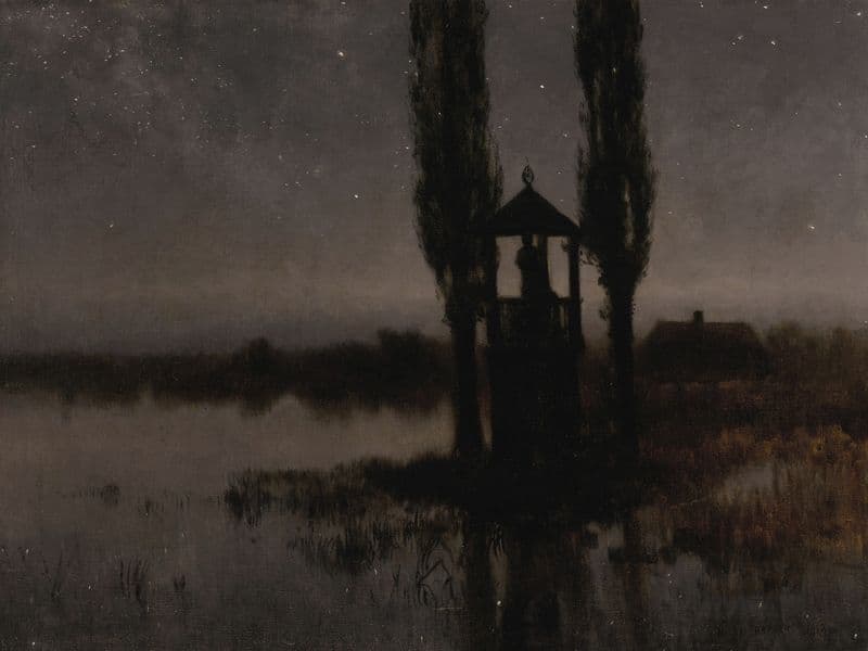Nocturnal Marshland as a canvas print