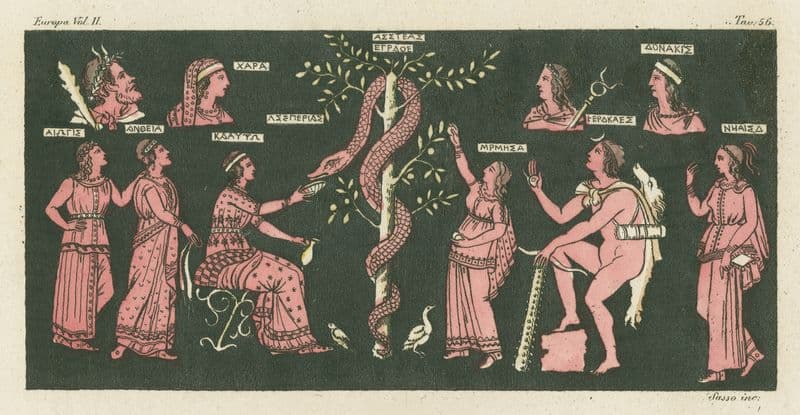 Nozze di Tetide e Peleo (1823 - 1838) as a canvas print
