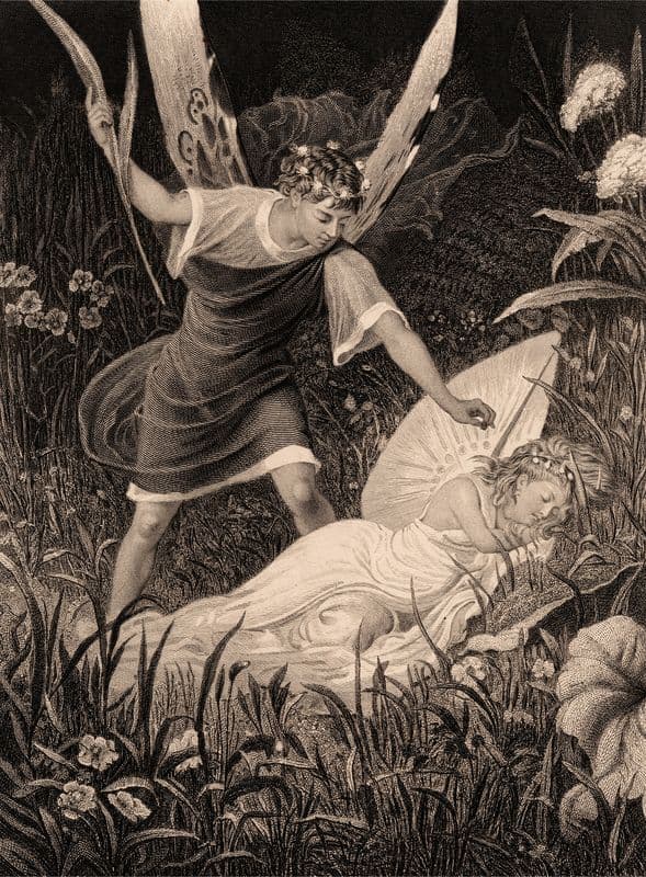 Oberon and Titania – ‘Midsummer Night’s Dream’, Act II, Scene III as a canvas print