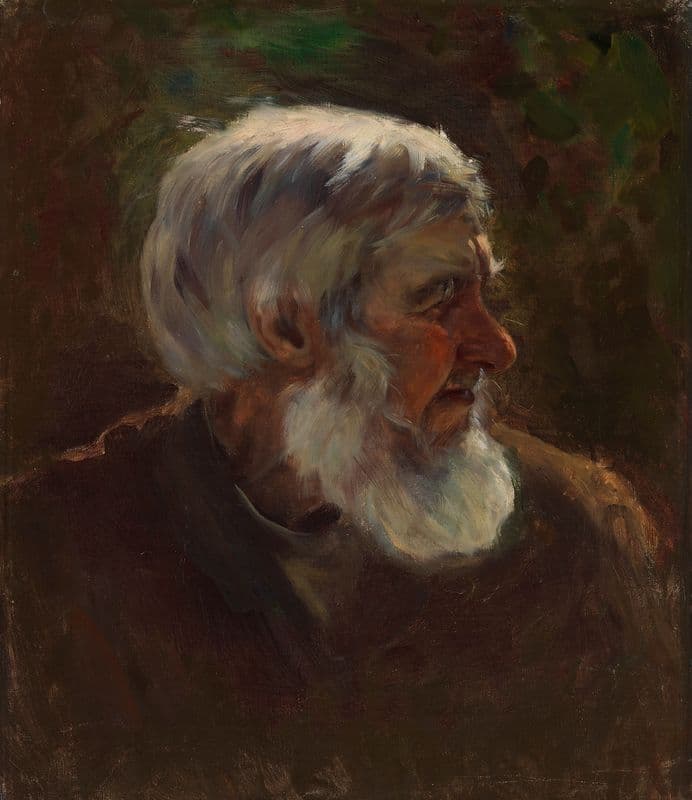 Old Man in Profile (1895 - 1896) as a canvas print