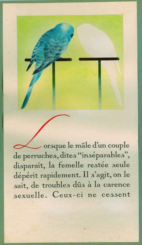 Orex (1910-1950) as a canvas print