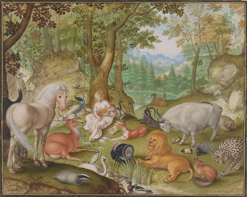 Orpheus charming the animals as a canvas print