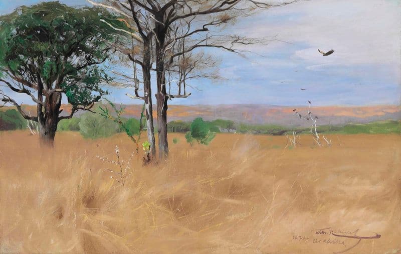 Ost Africa as a canvas print