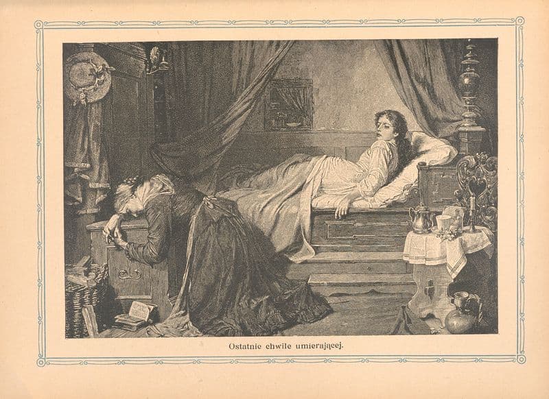 Ostattnie chwile umierającej as a canvas print