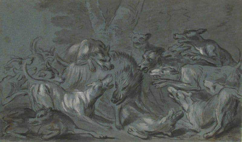 Pack of Dogs Attacking a Wild Boar as a canvas print
