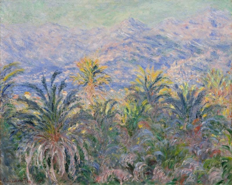 Palm Trees at Bordighera as a canvas print