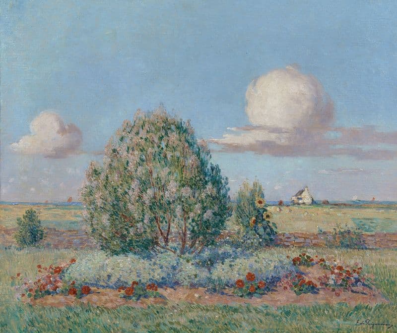 Parterre fleuri as a canvas print