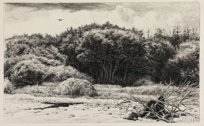 Parti i Hornbækplantagen as a canvas print