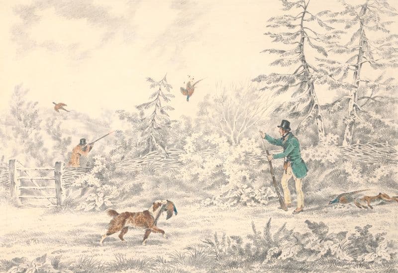 Pheasant Shooting as a canvas print