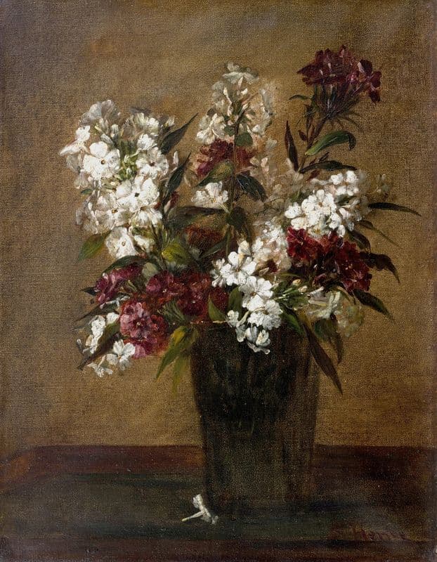 Phlox as a canvas print